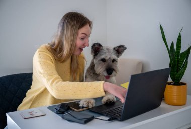 Sarı kazaklı bir kadın evde köpeğiyle birlikte dizüstü bilgisayarda çalışıyor. Uzaktan çalışma kavramı. 