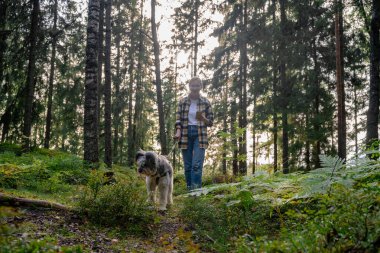 Ormanda köpeğini gezdiren ve güneş ışığı ormanında akıllı telefon kullanan bir kadın. . 