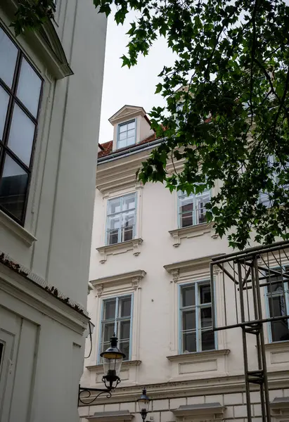 Klasik pencereleri ve sokak fenerleri olan zarif eski Avrupa binası, Viyana, Avusturya. 