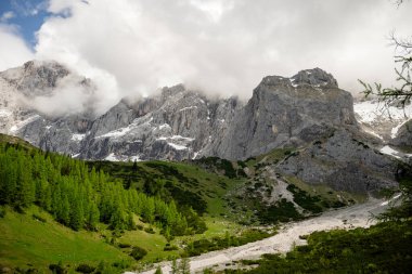 Avusturya 'da yemyeşil vadi ve bulutlarla dramatik Dachstein dağ zirveleri. 