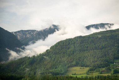  Avusturya Alpleri 'ndeki yeşil orman yamaçlarında süzülen puslu bulutlar.. 