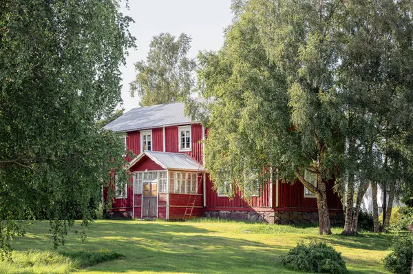 Finlandiya kırsalında yaz yeşili ile çevrili geleneksel kırmızı ahşap ev. 