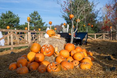 Cadılar Bayramı 'nda balkabağı ve saman yığını. 