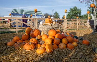 Cadılar Bayramı 'nda balkabağı ve saman yığını. 