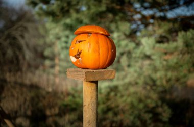 Tahta direğe gülümseyen yüzüyle oyulmuş Cadılar Bayramı balkabağı.