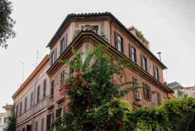 Roma cephesinde yeşil bitkiler ve çiçek açan tarihi bina. 