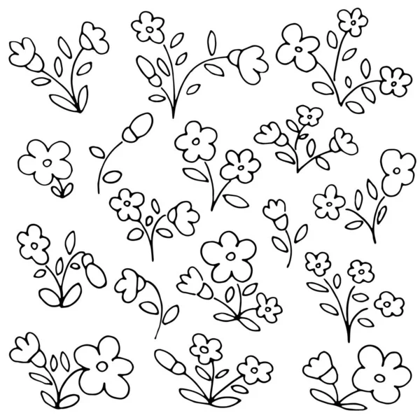 Krásná Romantická Sbírka Květin Květinami Listy Vektorová Sada Ručně Kreslených — Stockový vektor