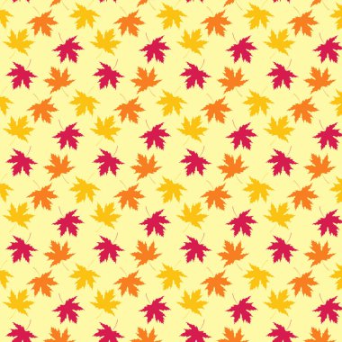 Sonbahar akçaağaç yapraklarının kusursuz deseni.