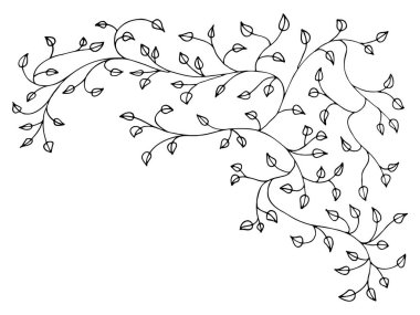 Çiçek dalları, yapraklar, bitkiler. Dekorasyon için dekoratif elementler. Elle çizilmiş vektör klasik botanik elementler. Çizgi çalışması. Botanik taslağı kalem çizimi