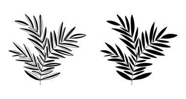 Yapraklı ağaç dalı, bitki. Dekorasyon için dekoratif elementler. Elle çizilmiş vektör klasik botanik elementler. Çizgi çalışması. Botanik taslak çizimi