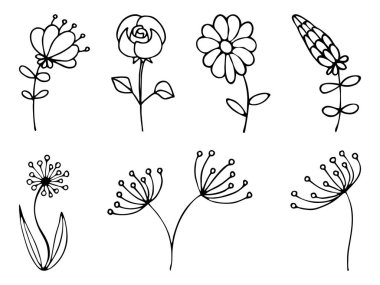 Tek renkli botanik çiçek seti, şeffaf bir arkaplanda sıra halinde bitkiler. Vektör klasik botanik elementlerin el çizimleri.