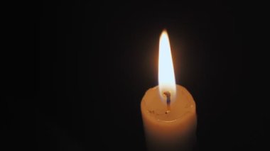 Yüzeyde çiğ, sarı boru şeklinde bir makarna yığını var. Masada büyük miktarlarda çiğ makarna tüyü var. Yüksek kalite 4k görüntü