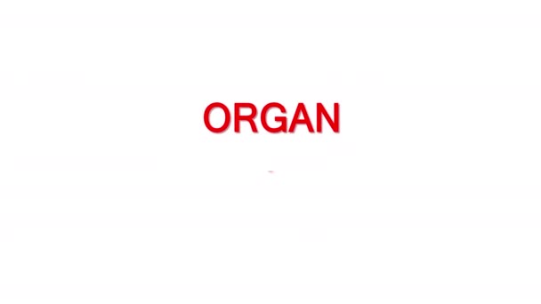 Mãos Segurar Órgãos Humanos Dia Mundial Doação Órgãos Conceito Doação — Vídeo de Stock