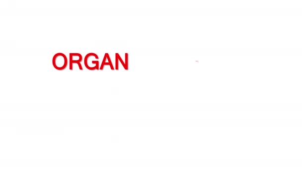 Hands Holding Human Organs World Organ Donation Day Concept Organ — Stock Video