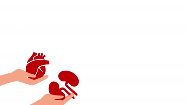 人間の臓器を持つ手 世界臓器提供デー 臓器提供 心臓移植 腎臓の概念 患者のためのボランティア ビデオアニメーション 高品質4K映像 — ストック動画