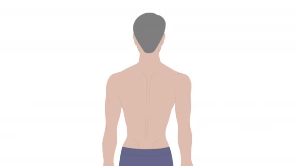 肩の痛みを持つ男のアニメーションビデオと腰痛を緩和するための医療パッチ 筋肉痛のためのパッチ 男は肩の痛みを緩和するためにバンドエイドを使用しています 高品質4K映像 — ストック動画