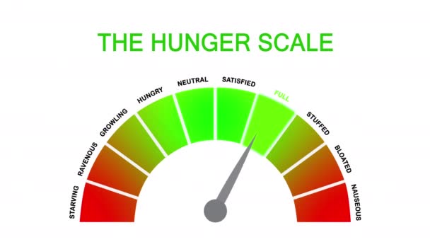 Масштаб Голода Интуитивного Внимательного Контроля Питания Диеты Карикатурными Правилами Тему — стоковое видео