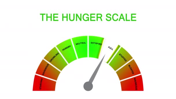 Hunger Fullness Scale Intuitive Mindful Eating Diet Control Illustration Cartoon — Stock Video