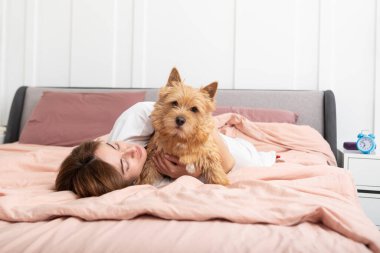 Genç ve güzel bir kadın yatakta uzanıyor ve sevimli köpeğine sarılıyor. Mükemmel arkadaşlık kavramı