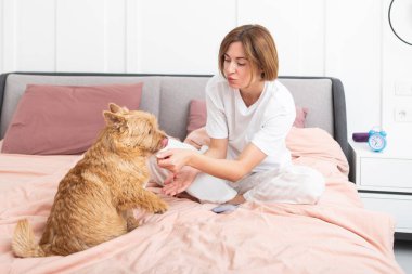 Genç ve çekici bir kadın yatakta oturuyor ve yatak odasında sevimli köpeğiyle oynuyor.