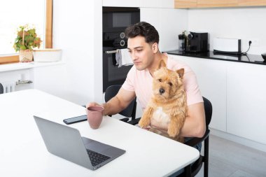 Mutlu yakışıklı adam evcil köpeği Norwich Terrier 'e sarılıyor ve evde dizüstü bilgisayarla çalışıyor.