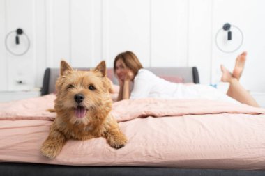 Yatakta oturan sevimli köpek portresi ve yatak odasında arka planda yatan ve gülümseyen kadın.