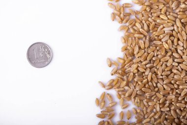 Tahıl yığınının en üst görüntüsü ve beyaz yüzeyde bir bozuk para. Tahıl krizi konsepti