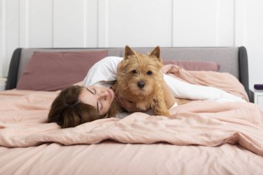 Genç ve güzel bir kadın yatakta uzanıyor ve sevimli köpeğine sarılıyor. Mükemmel arkadaşlık kavramı