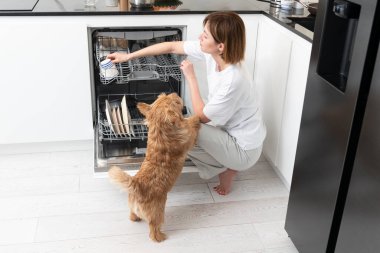 Bulaşık makinesine kirli bulaşıkları yükleyen bir kadın ve onunla oynamaya çalışan sevimli köpeği.