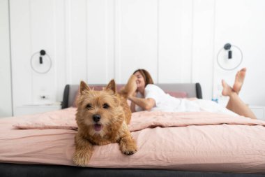 Yatakta oturan sevimli köpek portresi ve yatak odasında arka planda yatan ve gülümseyen kadın.