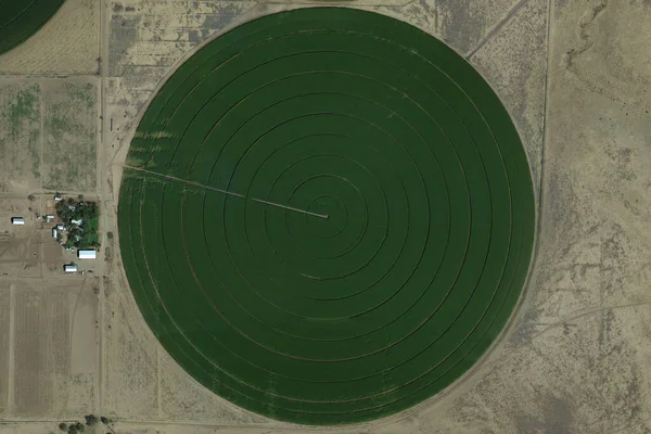 Campos Circulares Sistema Irrigação Central Pivô Segurança Alimentar Olhando Para — Fotografia de Stock