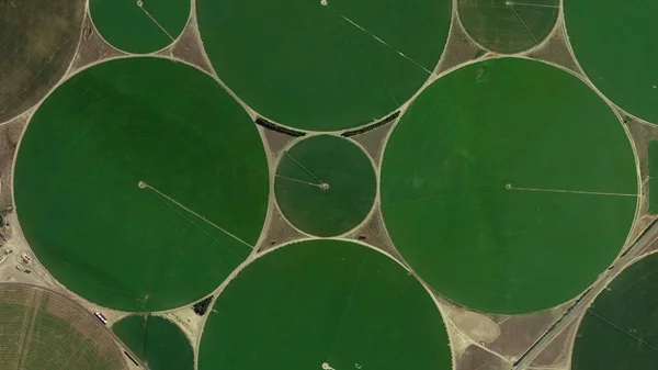 Circular Fields Center Pivot Irrigation System Food Safety Looking Aerial — Stock Photo, Image