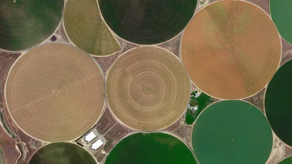 Campos Circulares Sistema Irrigação Central Pivô Segurança Alimentar Olhando Para — Fotografia de Stock