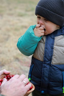 Çocuk ahşap bir kasede taze kızılcık yiyor, arka planda bulanıklık var. Yüksek kalite fotoğraf