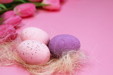 pink Easter background with tulips and colourful eggs . Copy Space with top view