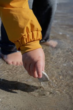 Sahilde, sarı ceketli, deniz kabuğunu kaldıran bir çocuğun elini yakınlaştır.