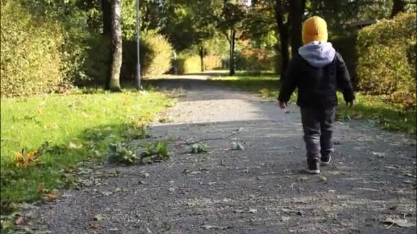 初秋时节 穿着领头羊夹克 头戴黄帽的可爱的小男孩在公园里散步 — 图库视频影像