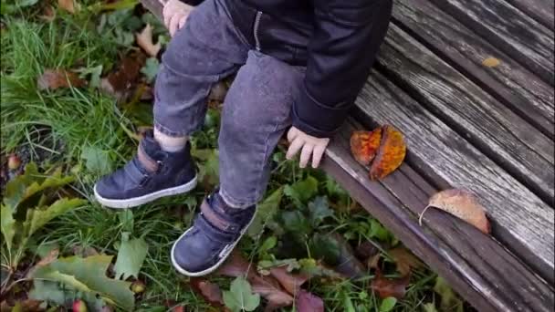 初秋的时候 一个小孩坐在公园的长椅上 紧紧地抱着他 — 图库视频影像