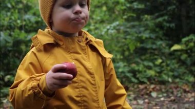 Çiftlikte olgun bir yaban elmasını yiyen, sarı şapkalı ve ceketli küçük bir çocuğun yakın çekimi.