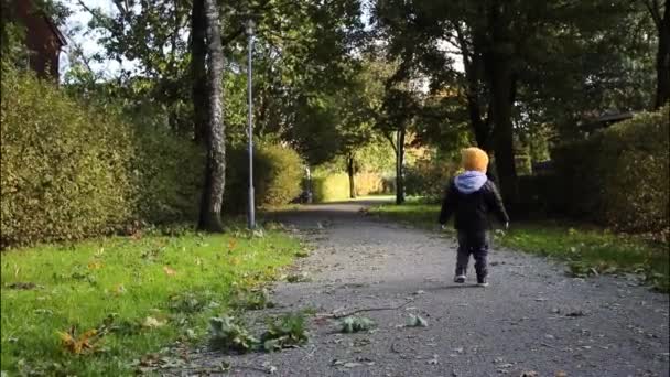 初秋时节 穿着领头羊夹克 头戴黄帽的可爱的小男孩在公园里散步 — 图库视频影像