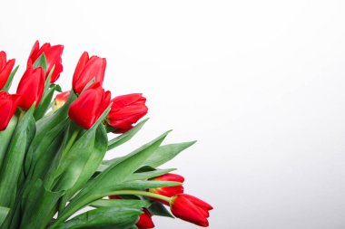 Beyaz zemin üzerinde kırmızı lale çiçekleri olan bir buket metin için kopyalama alanı
