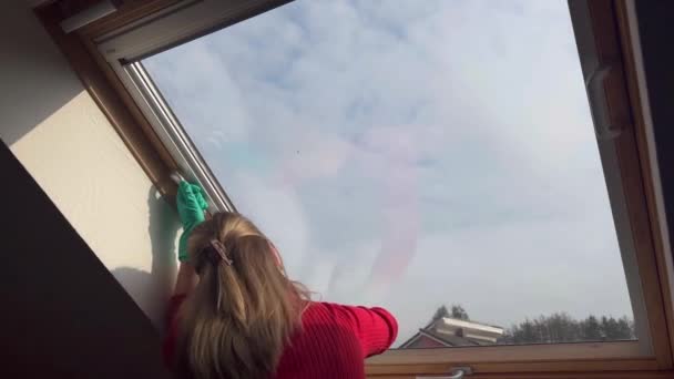 年轻女人在天亮的时候在家里擦窗玻璃 背景色 — 图库视频影像