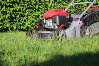 Gün ışığında bahçedeki yeşil çimlerde elektrikli çim biçme makinesini kapat, arka plan bulanık. 