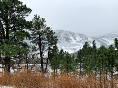 Ruidoso şehrinde kar manzaralı dağ manzarası, New Mexico, ABD