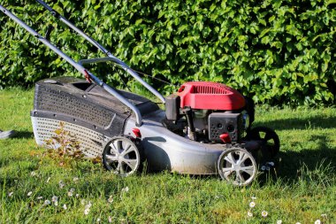 Gün ışığında bahçedeki yeşil çimlerde elektrikli çim biçme makinesini kapat, arka plan bulanık. 