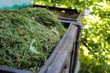 Bahçede yeşil çim biçen gübre kutusu. 
