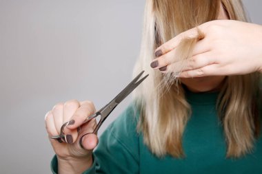 Sarışın, beyaz, yeşil kazaklı bir kadının saçını evde keserken resmini çek. Gri, boş bir arkaplan. 