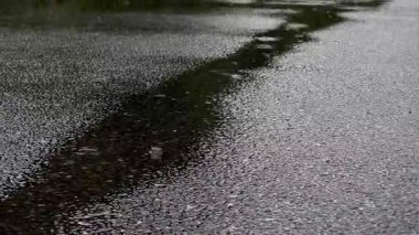 Gün ışığında asfalt sokağa yağmur damlaları yağıyor.