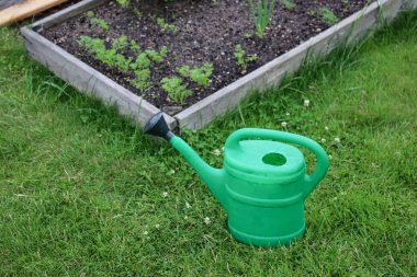 Yerde duran yeşil bir sulama tenekesi, arka planda genç bitkiler bulunan sebze ve bitki bahçesi yatağı. Ev ekonomisi bahçe konsepti 