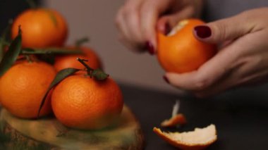 Kırmızı tırnaklı, olgun bir mandalina meyvesini soyan kadın ellerini kapatın. Yüksek kaliteli FullHD görüntüler